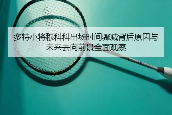 多特小将穆科科出场时间骤减背后原因与未来去向前景全面观察