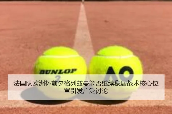 fa-guo-dui-ou-zhou-bei-qian-xi-ge-lie-zi-man-neng-fou-ji-xu-wen-ju-zhan-shu-he-xin-wei-zhi-yin-fa-guang-fan-tao-lun-2-850.jpg