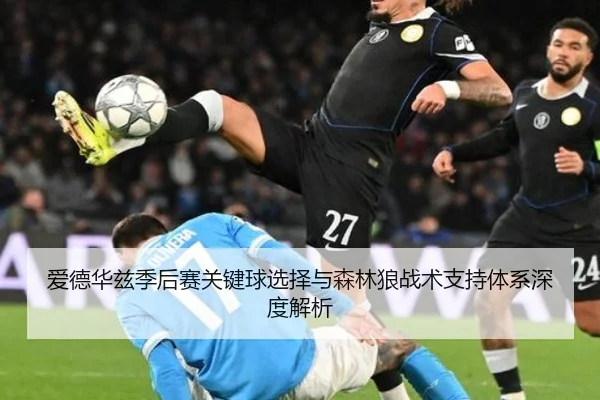 爱德华兹季后赛关键球选择与森林狼战术支持体系深度解析
